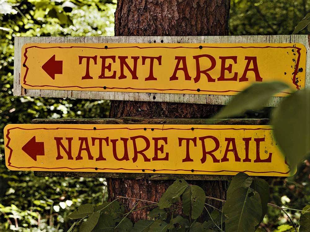A directional sign on a tree at VOLUNTEER PARK FAMILY CAMPGROUND