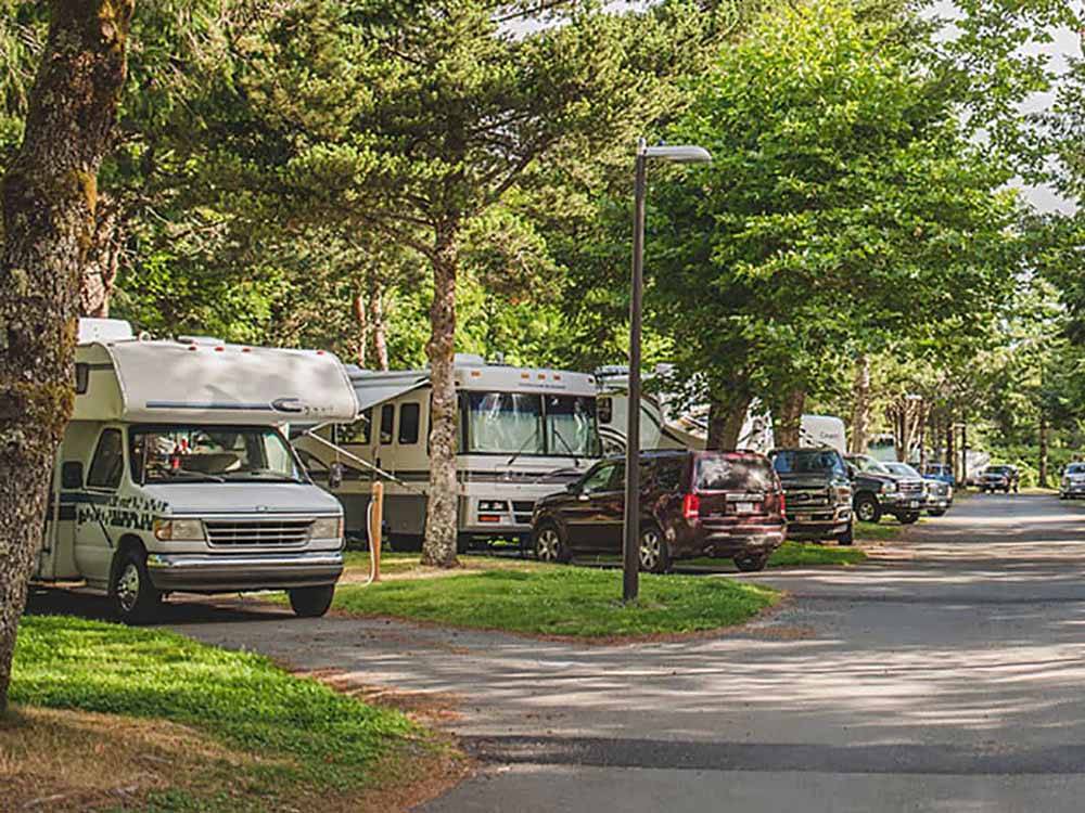 The paved road between RV sites at CANNON BEACH RV RESORT