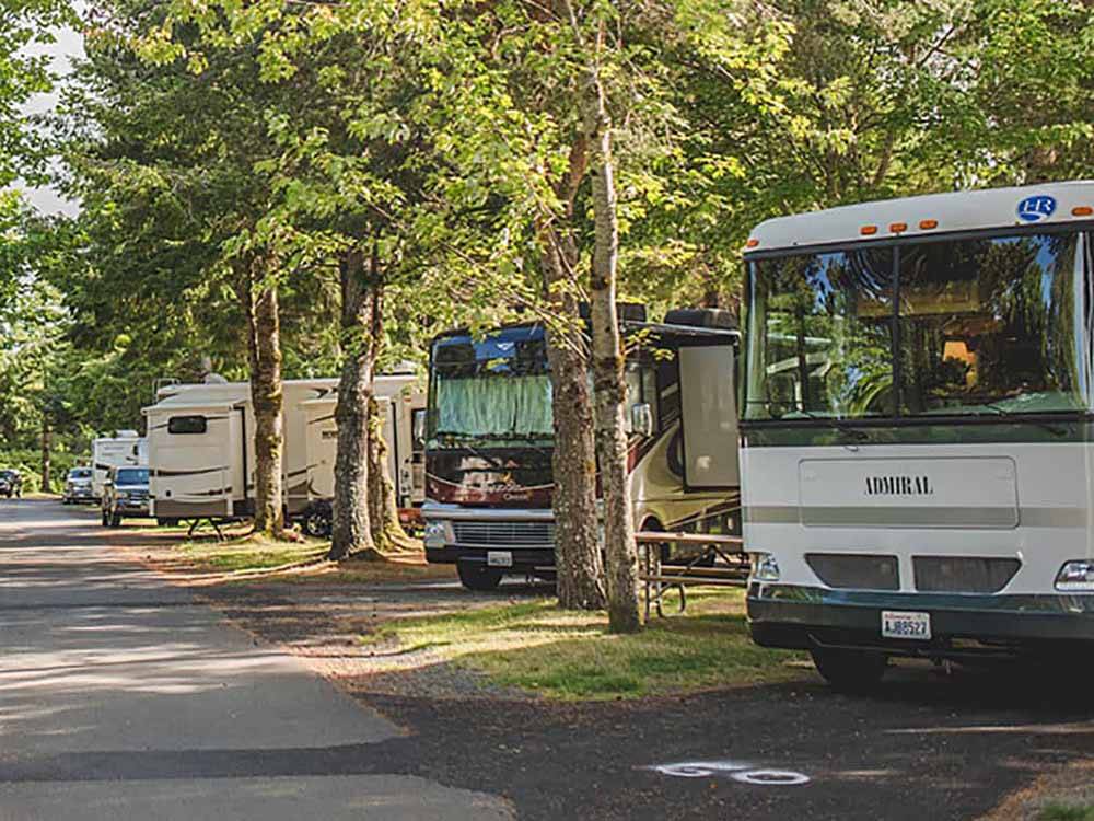 A row of motorhomes in RV sites at CANNON BEACH RV RESORT