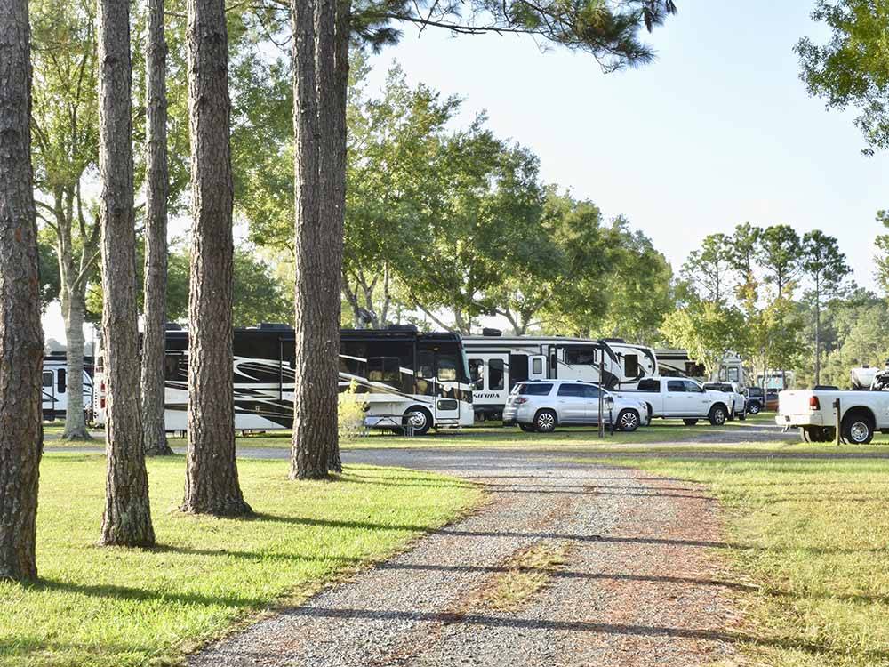 A tree lined gravel road at STAGECOACH RV PARK