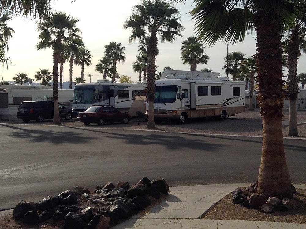 RVs and trailers at campground at HOLIDAY PALMS RESORT