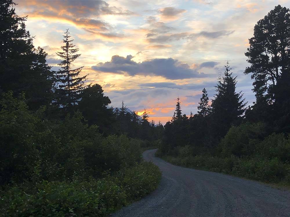 Gravel road winds through a forest at HAINES HITCH-UP RV PARK