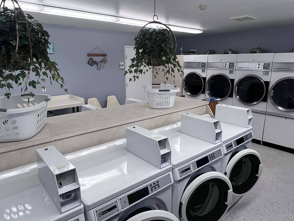 Hanging plants dangle above washers and dryers at HAINES HITCH-UP RV PARK