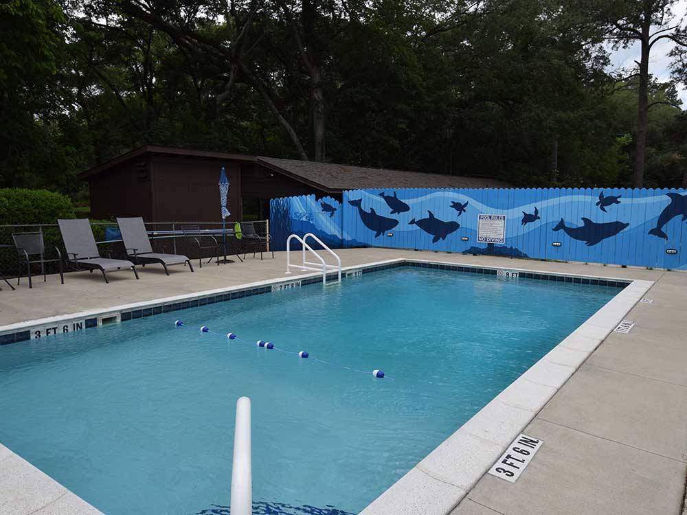 Swimming pool with picture of whales on the wall at TALLAHASSEE RV PARK