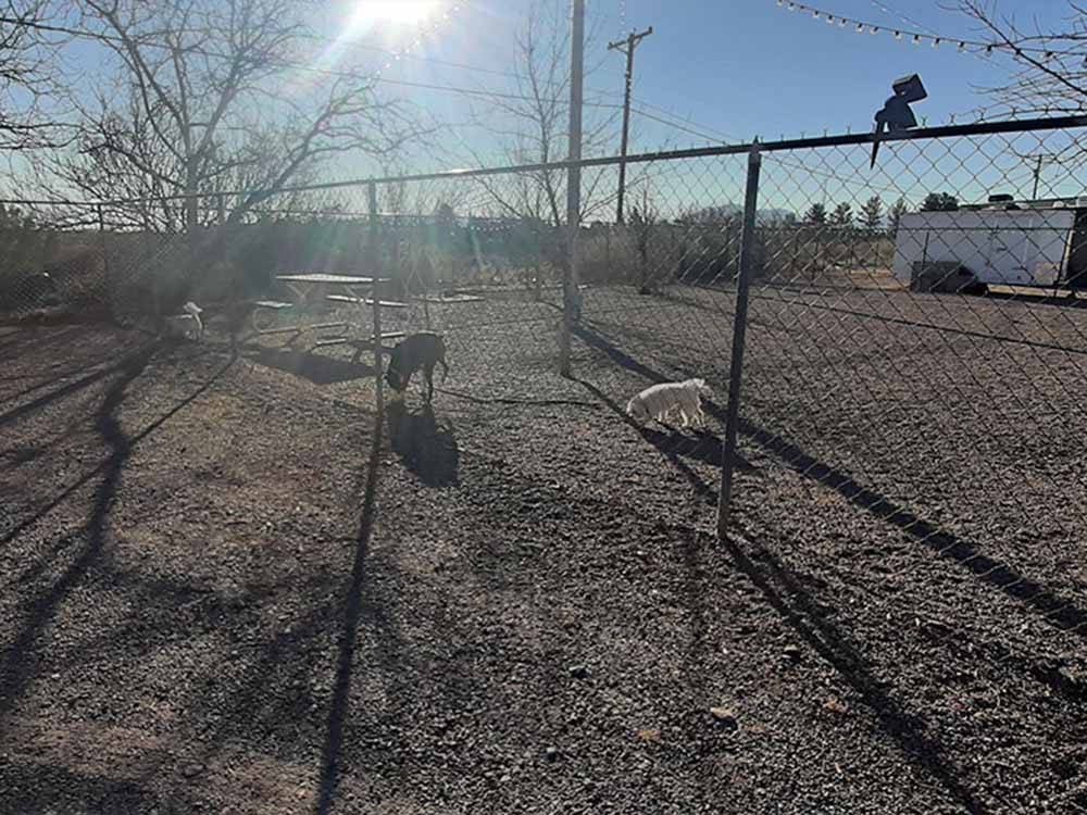 The fenced in pet area at LITTLE VINEYARD RV RESORT