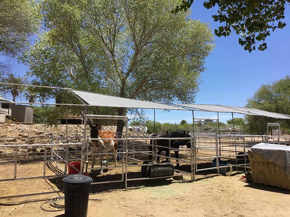 The horse corrals with two horses at HORSPITALITY RV RESORT