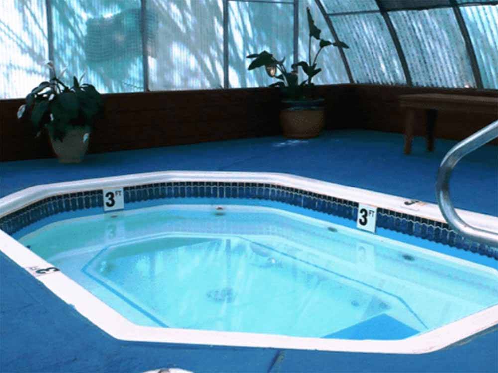 The indoor hot tub with plants at AMERICAN RV RESORT
