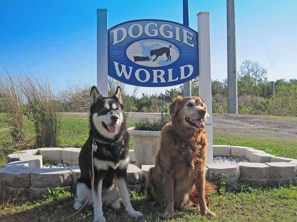 Two dogs sitting in front of the doggie world sign at THE GREAT OUTDOORS RV NATURE & GOLF RESORT