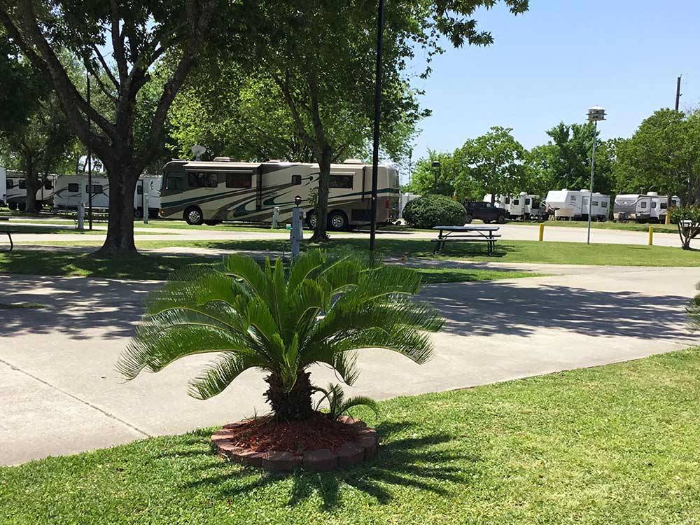 RVs and trailers at campground at HOUSTON EAST RV RESORT