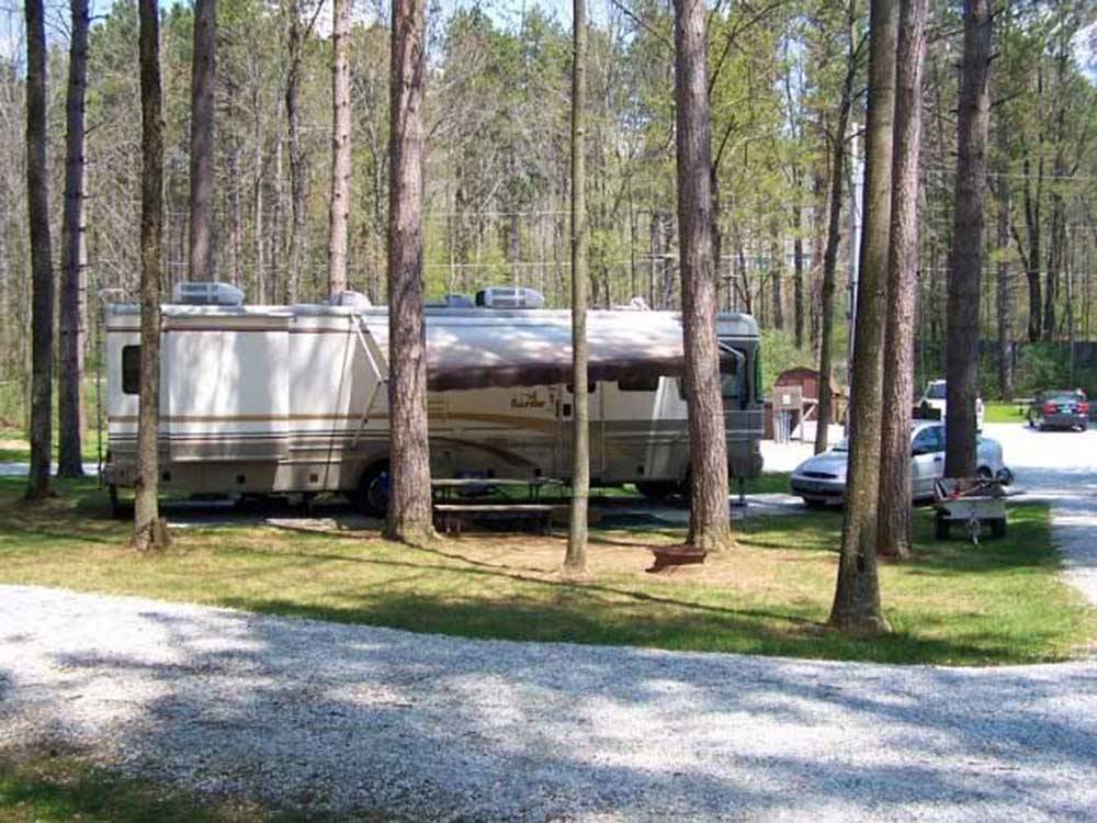 A motorhome parked under trees at DORSET RV PARK