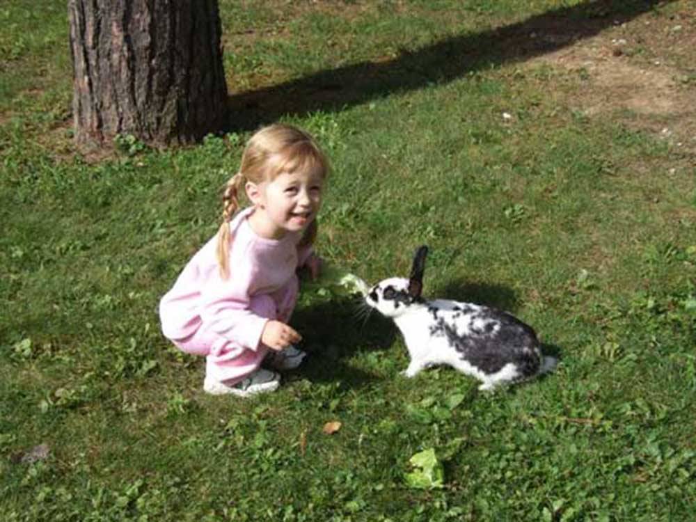 A little girl petting a bunny at DORSET RV PARK