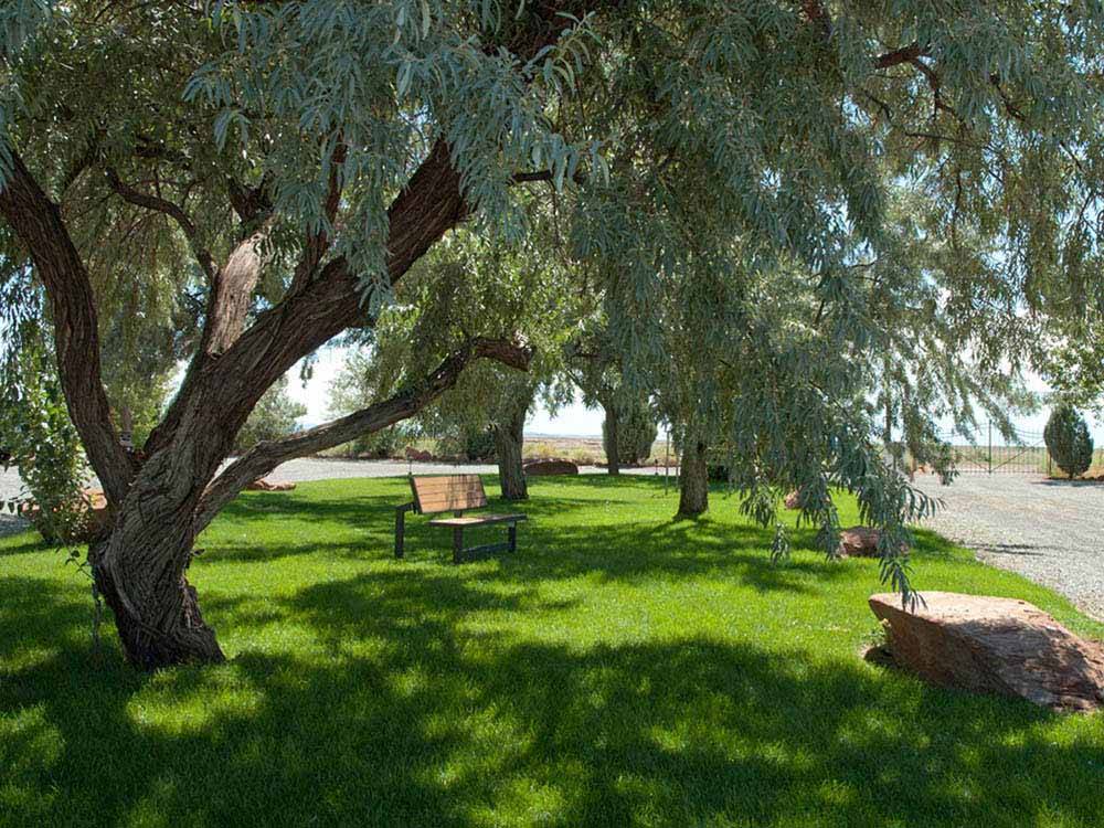 A bench under a lot of trees at METEOR CRATER RV PARK