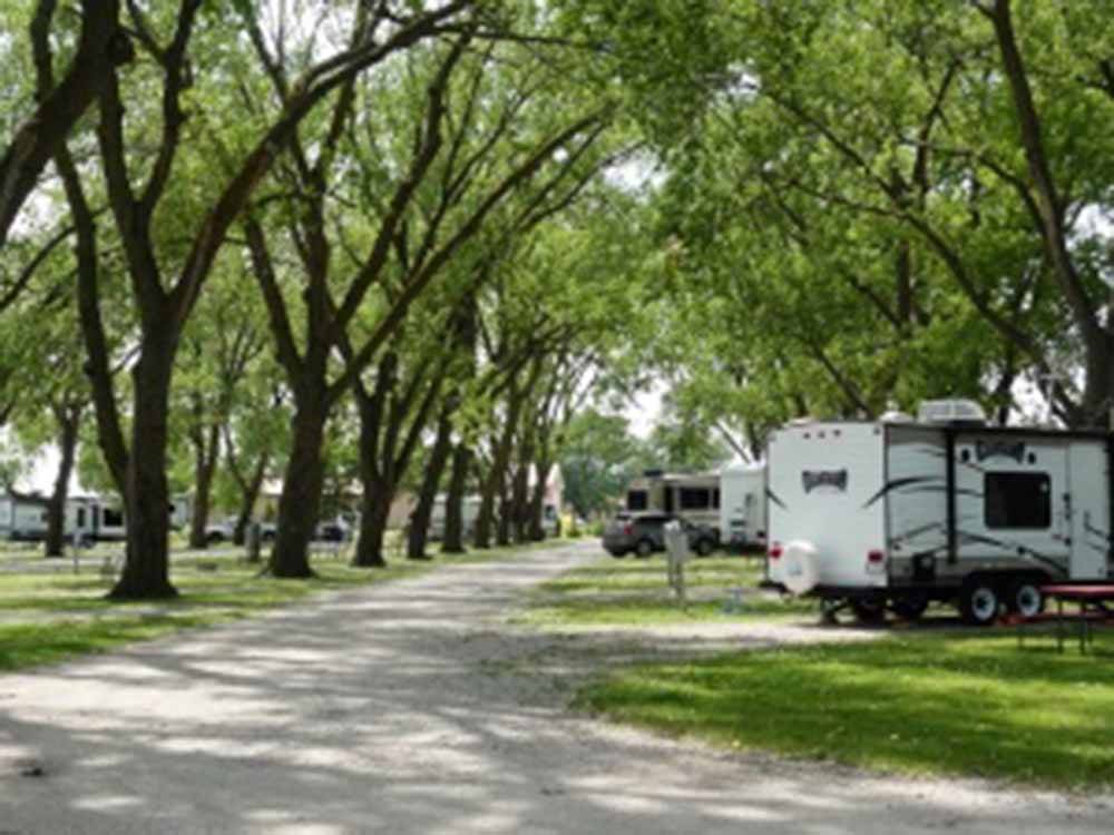 The tree lined road with RV sites at ON-UR-WA RV PARK