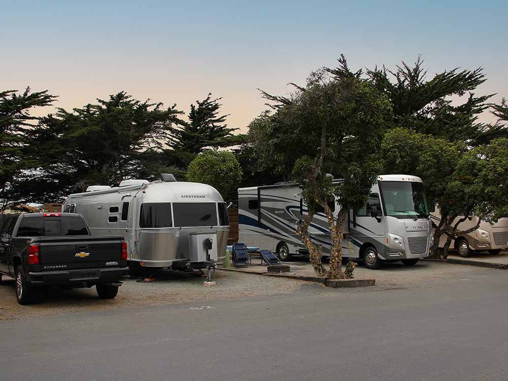 A row of RVs in sites at MARINA DUNES RV RESORT