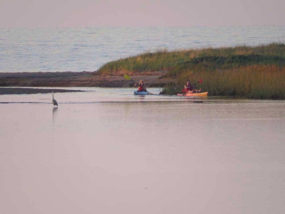 Two kayakers at sunset at OCEAN SURF RV PARK