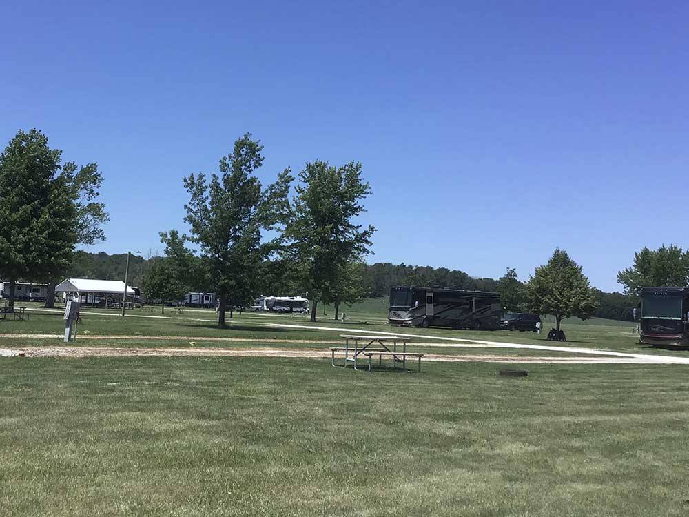 Grassy field and trees on sunny day at AMANA RV PARK & EVENT CENTER