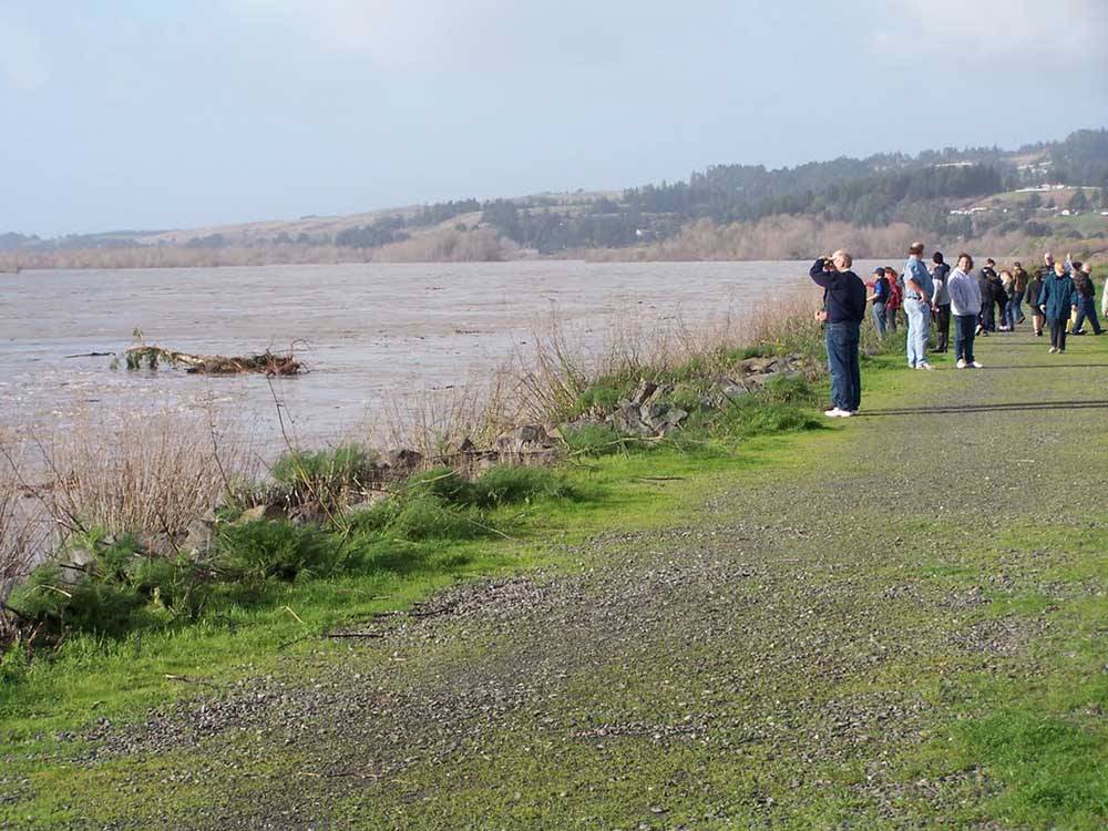 A group of people looking at the river at RIVERWALK RV PARK & CAMPGROUND