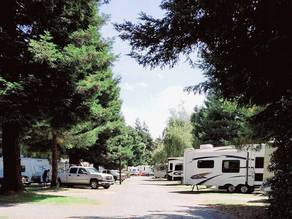 One of the roads that go thru the campsites at RIVERWALK RV PARK & CAMPGROUND
