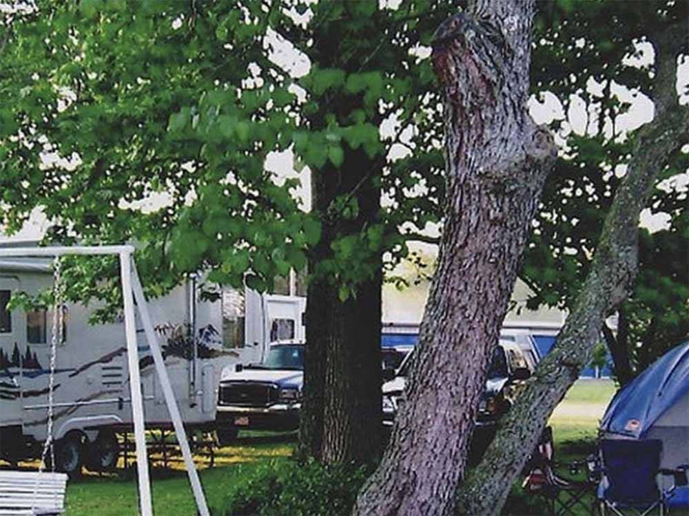 A group of trees next to the RV sites at FERN LAKE CAMPGROUND & RV PARK