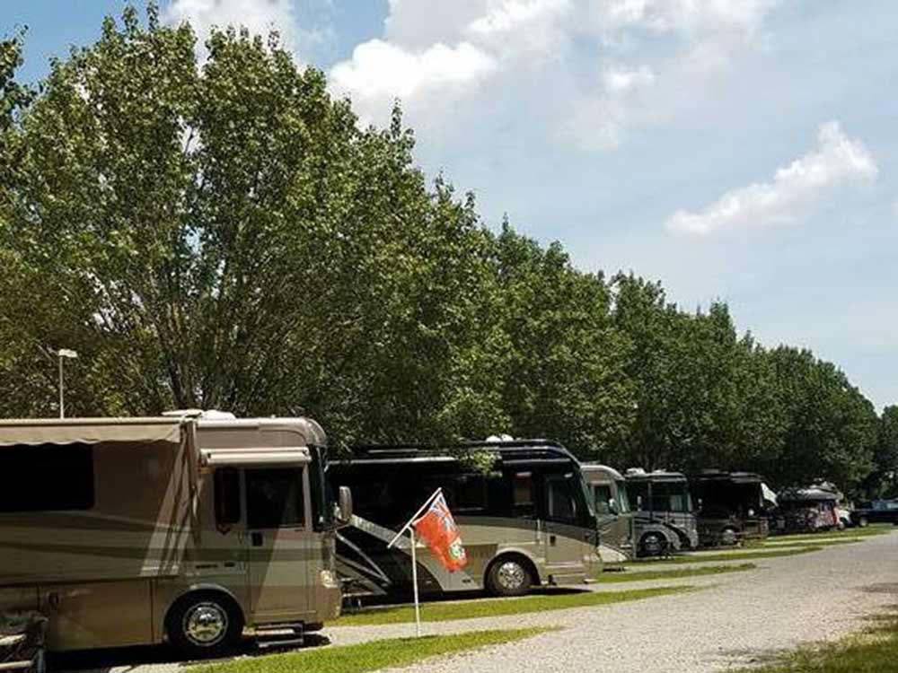 A row of motorhomes backed-in at CLARKSVILLE RV RESORT BY RJOURNEY