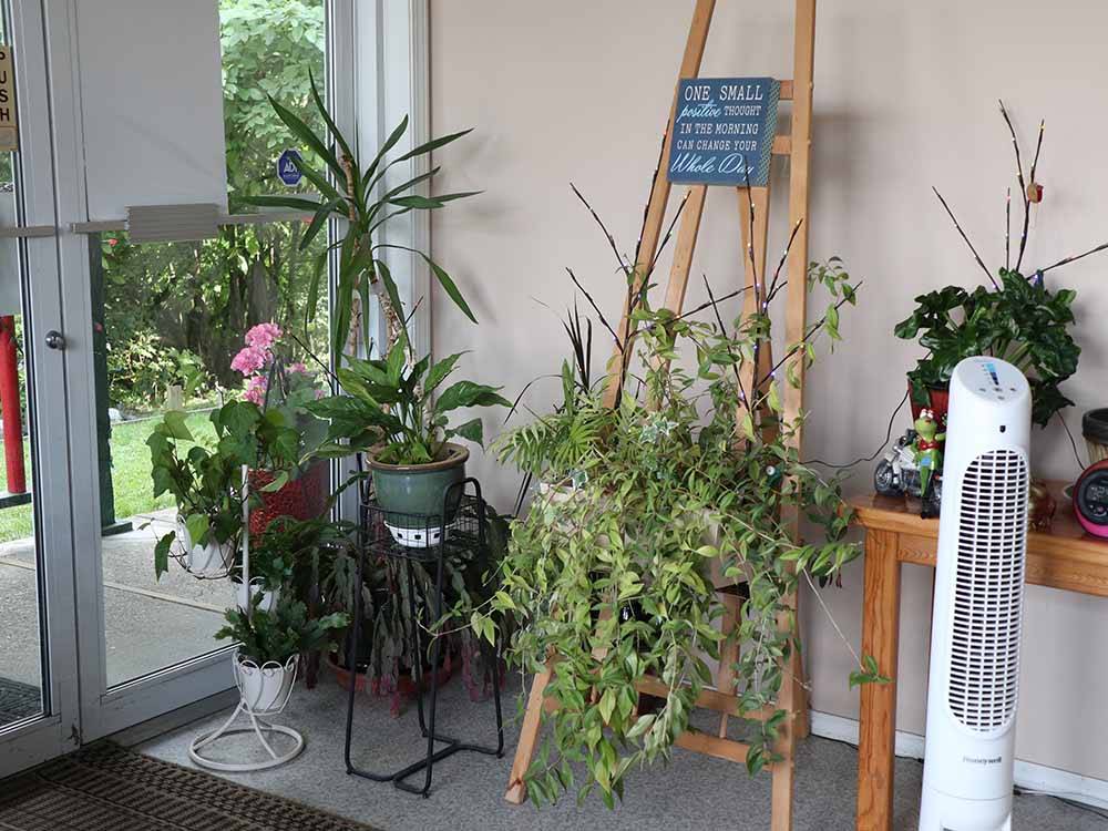 Houseplants in the lobby at COTTONWOOD MEADOWS RV COUNTRY CLUB