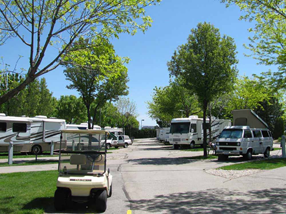 RVs and trailers camping at MOUNTAIN VIEW RV PARK