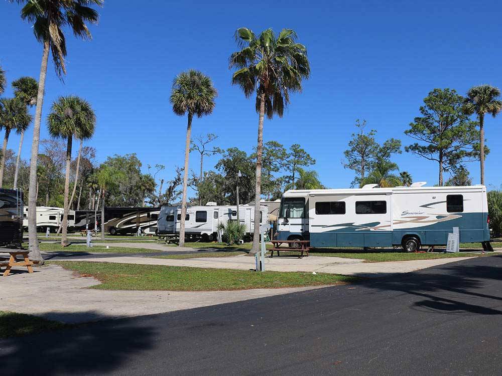 RVs and trailers at campground at ENCORE TROPICAL PALMS