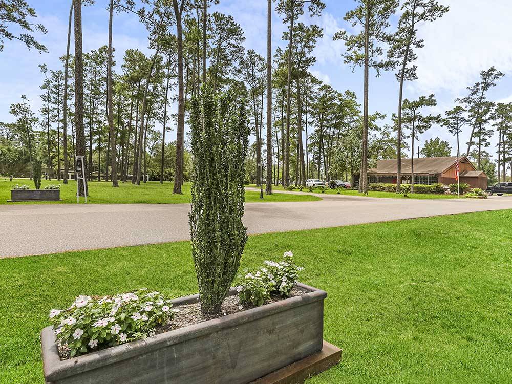 One of the roads leading thru the RV sites at PINE CREST RV PARK OF NEW ORLEANS