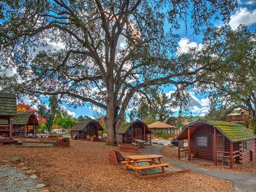 Paved path to rustic cabins at ANGELS CAMP RV RESORT