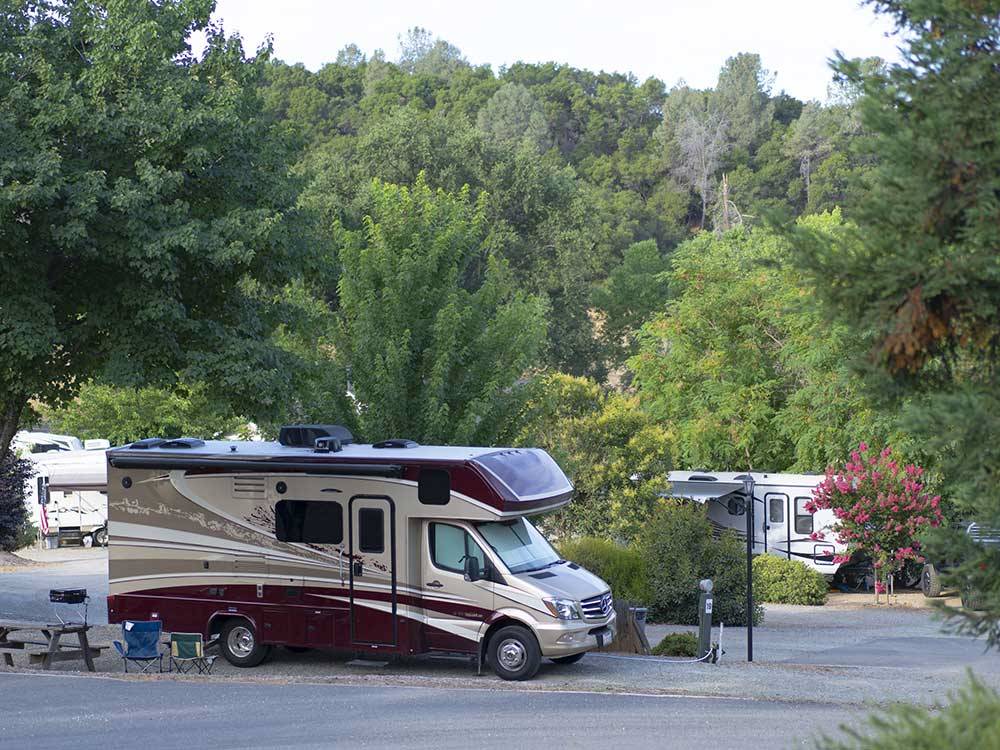 RVs parked in sites with lush vegetation at ANGELS CAMP RV RESORT