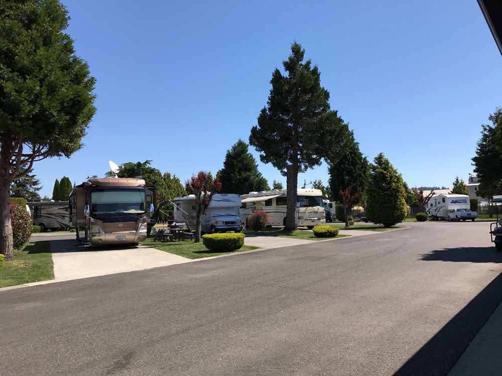 A row of paved, pull thru RV sites at MIDWAY RV PARK