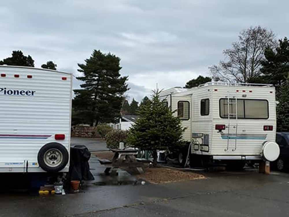 A row of occupied pull thru RV sites at PACIFIC PINES RV PARK & STORAGE