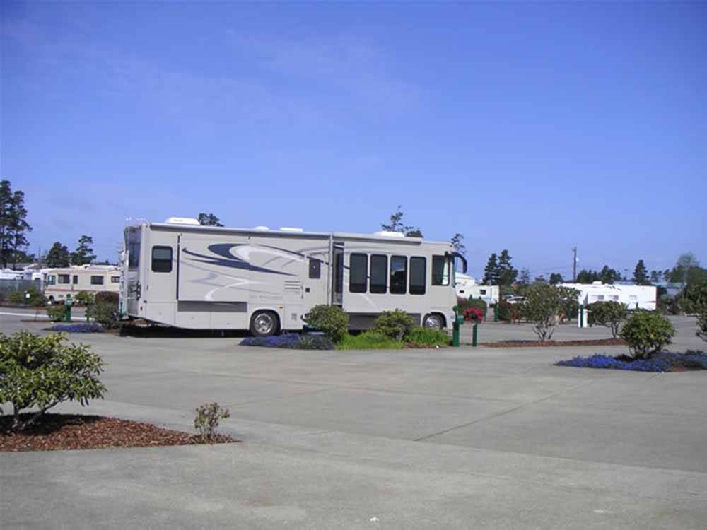 A group of paved RV sites at PACIFIC PINES RV PARK & STORAGE