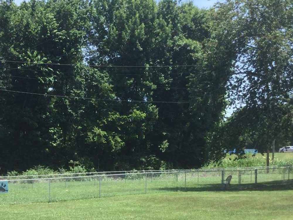 Large shade trees near property at OUTDOOR LIVING CENTER RV PARK