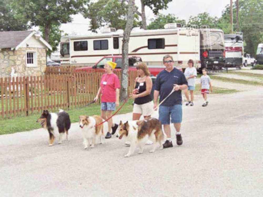 Campers walking their dogs at AMERICA'S BEST CAMPGROUND