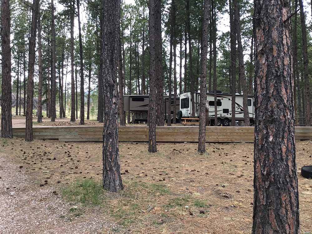 A bunch of trees around RV sites at FORT WELIKIT FAMILY CAMPGROUND
