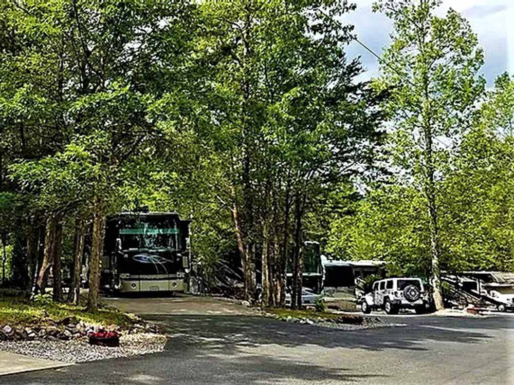 Motorhomes backed in at the paved sites at SMOKY BEAR CAMPGROUND AND RV PARK