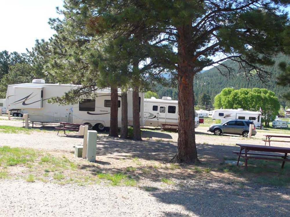RVs parked amid fir trees at ELK MEADOW LODGE AND RV RESORT