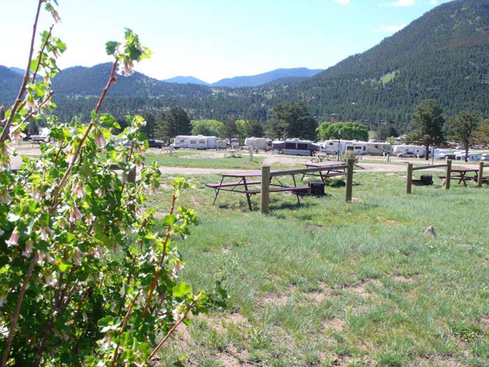 Grassy meadow with picnic tables, RVs in background at ELK MEADOW LODGE AND RV RESORT