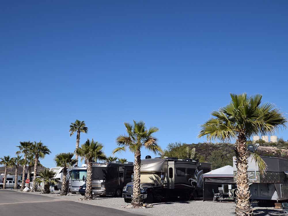 RVs and trailers at campground at DESERT GOLD RV RESORT
