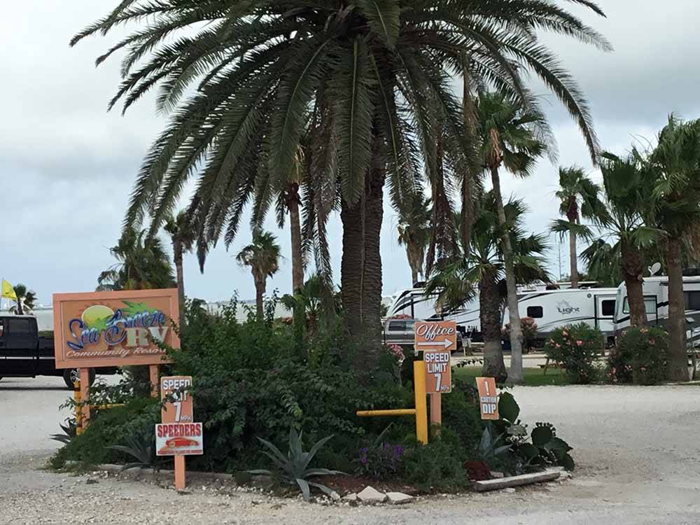 The front entrance sign with a palm tree at SEA BREEZE RV COMMUNITY RESORT