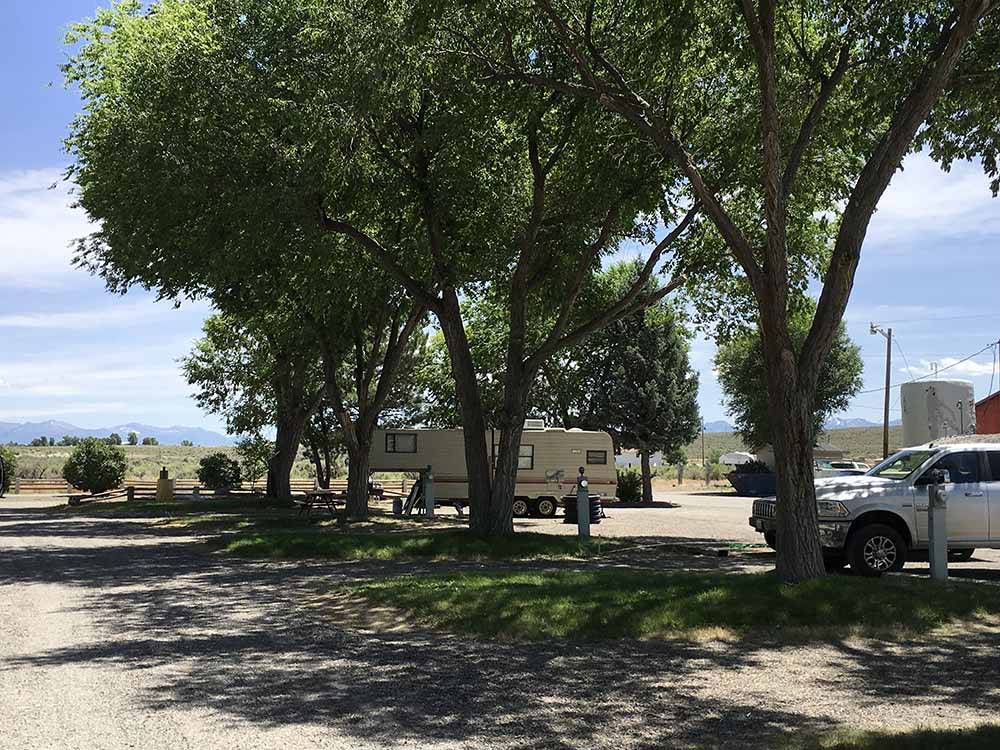 A line of trees by some RV sites at ELKO RV PARK