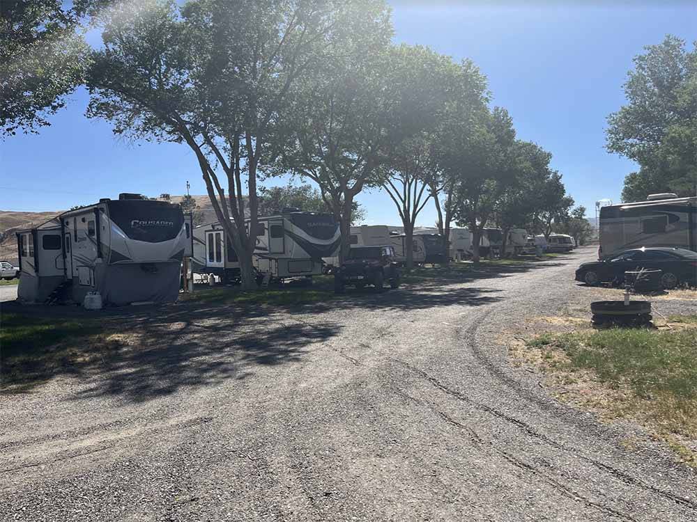 A row of trailers in RV sites at ELKO RV PARK