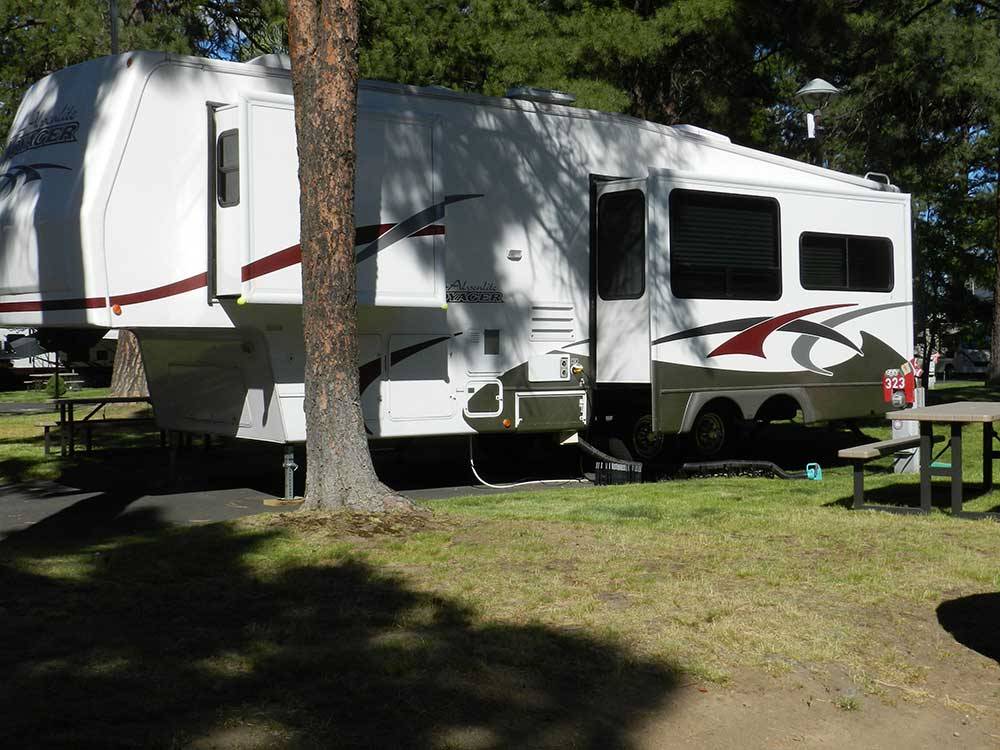 Trailer camping at SCANDIA RV PARK