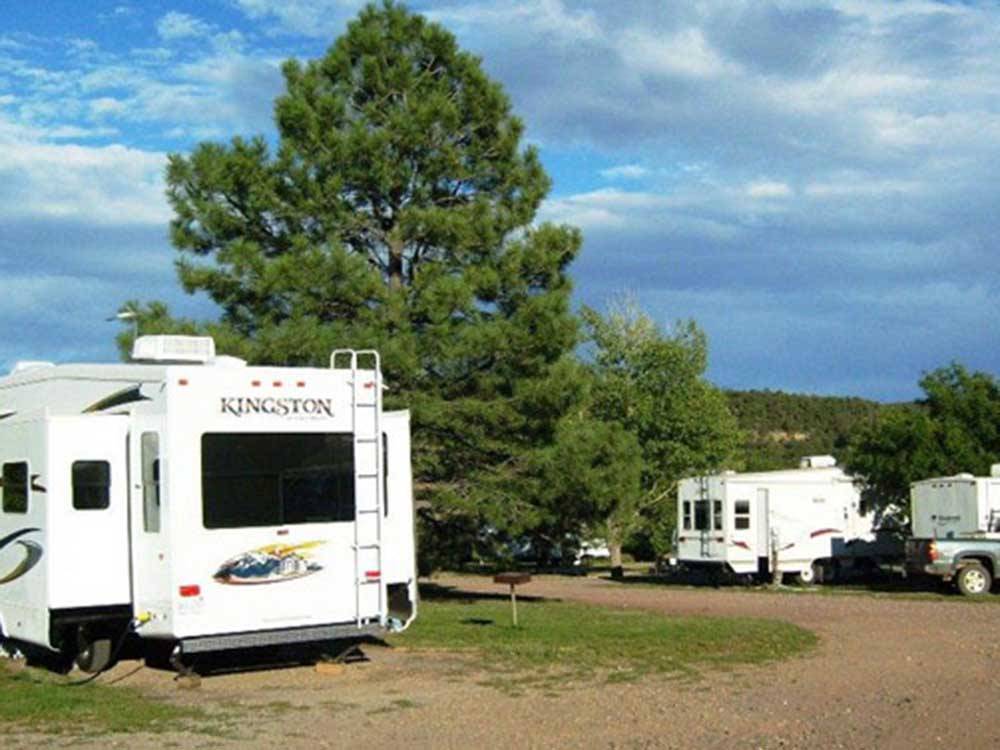 RVs in sites surrounded by tall fir trees at TURQUOISE TRAIL CAMPGROUND & RV PARK