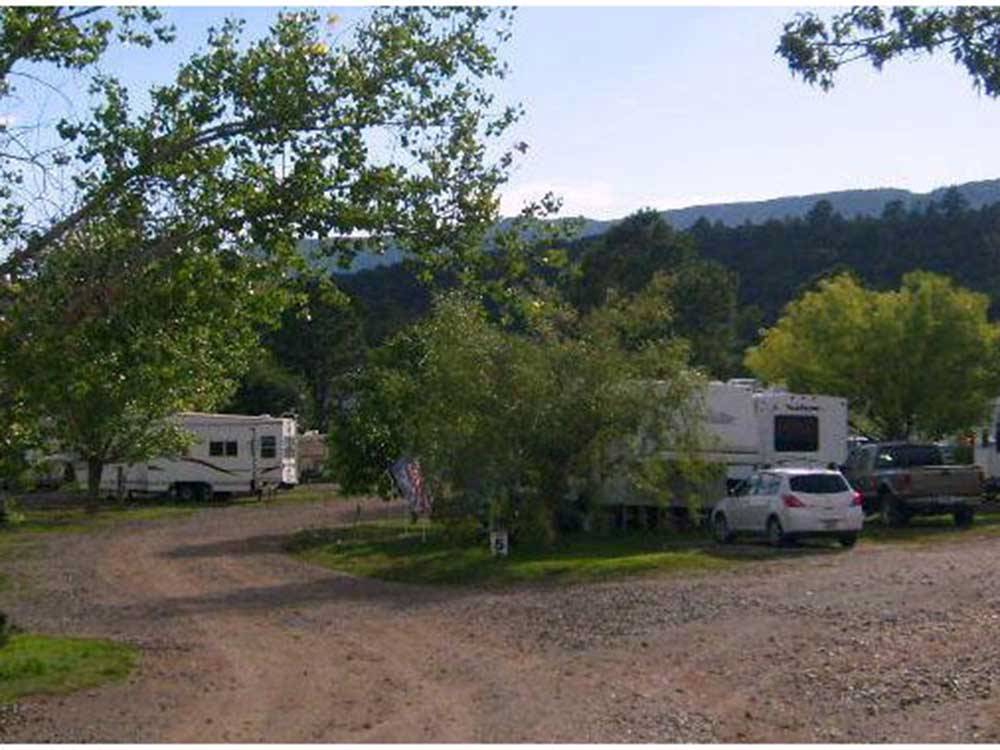 Road leading to RV sites amid shade trees at TURQUOISE TRAIL CAMPGROUND & RV PARK