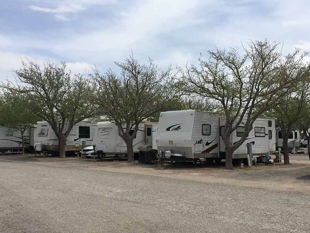 Trees between the gravel RV sites at MIDLAND RV CAMPGROUND