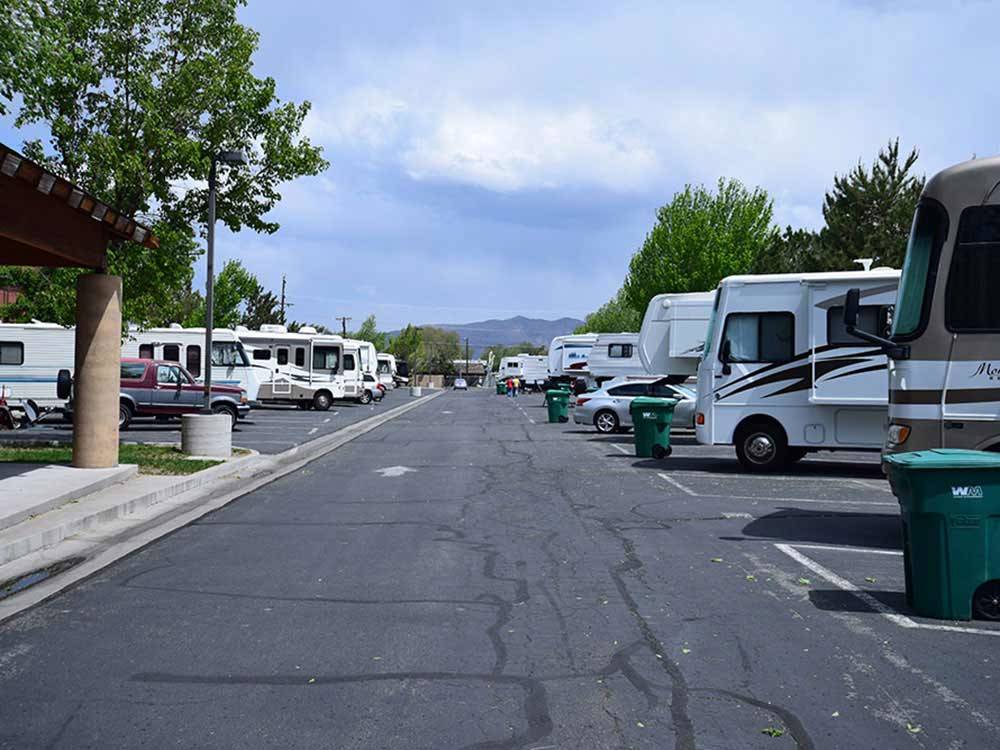 Row of RVs with mature trees at SILVER SAGE RV PARK