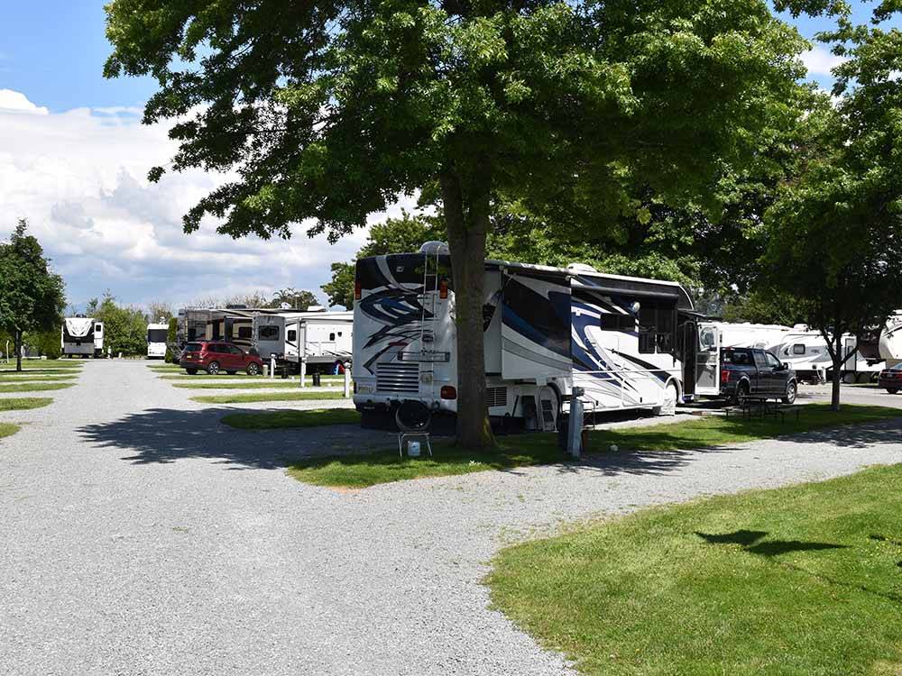 A row of gravel RV sites with a tree at MOUNT VERNON RV PARK