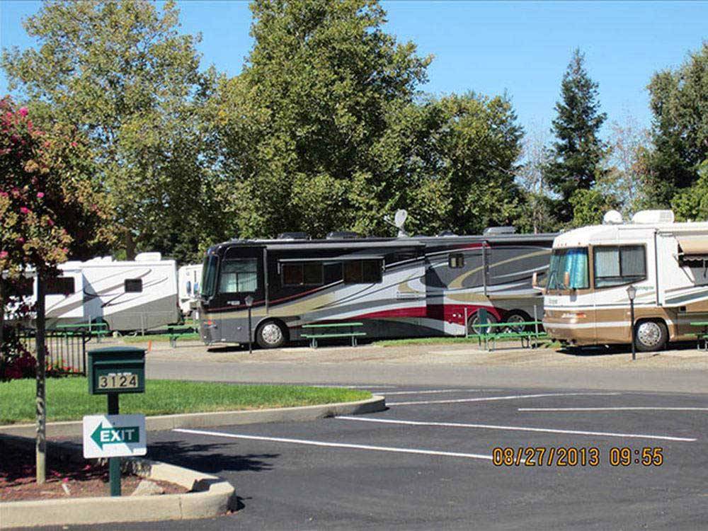 Some of the RV sites at ALMOND TREE RV PARK